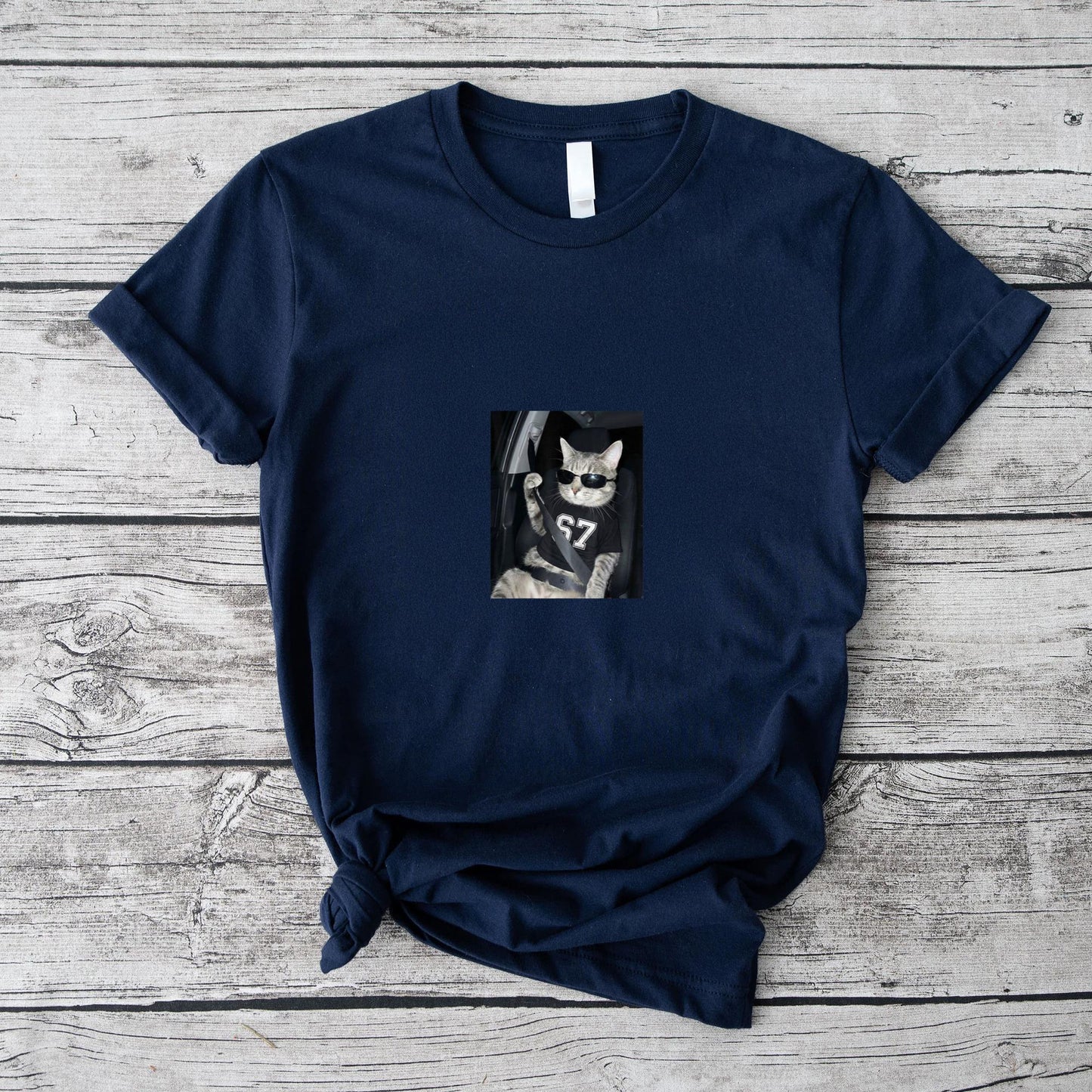 67 Cat Wearing Sunglasses Gen Alpha Funny Six Seven 6 7 Meme T-Shirt